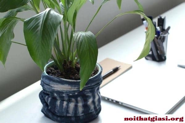 Cây Để Bàn Theo Tuổi Cho Phong Thủy Bàn Làm Việc15