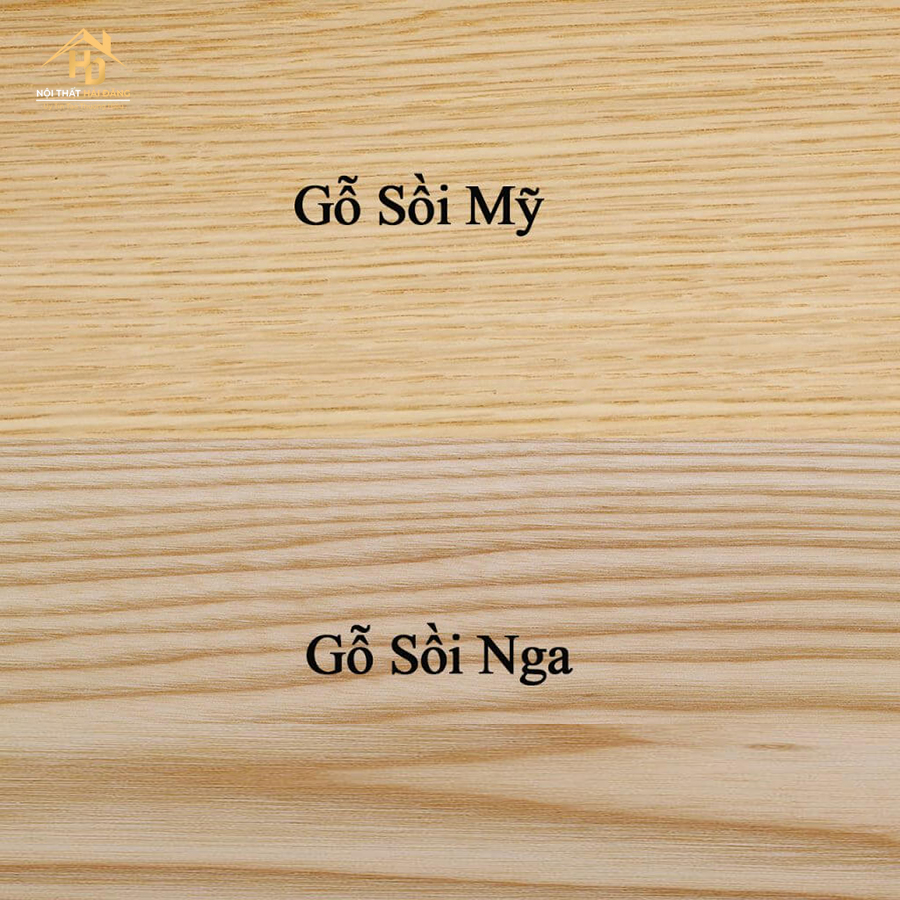 go-soi-1 [Giải Đáp] Gỗ Sồi Và Gỗ Xoan Đào Gỗ Nào Tốt Hơn?