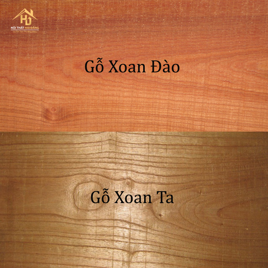 go-xoan-1 [Giải Đáp] Gỗ Sồi Và Gỗ Xoan Đào Gỗ Nào Tốt Hơn?