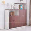 Tủ Hồ Sơ Thấp 2 Tầng Sang Trọng Giá Xưởng