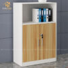 Tủ Hồ Sơ Thấp 1M2 Hiện Đại Giá Xưởng