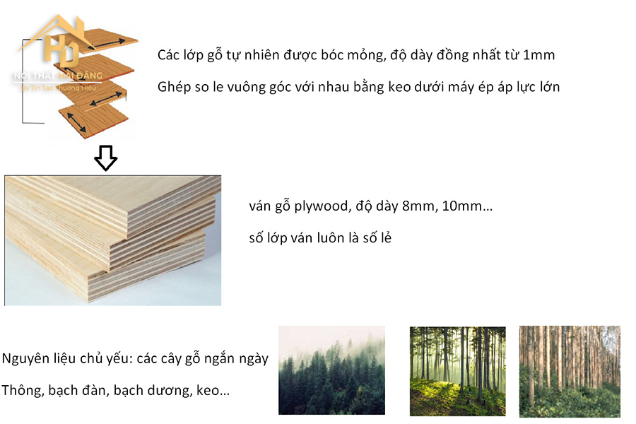 plywood-3 Plywood Là Gì? Được Đưa Vào Ứng Dụng Nội Thất Như Thế Nào?