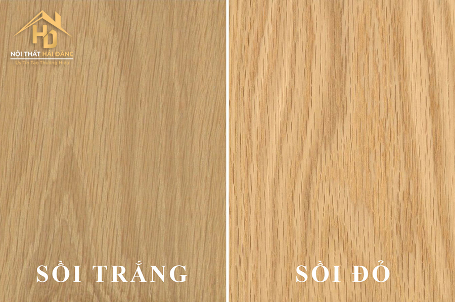 go-soi-3 Gỗ Sồi (Gỗ Oak) là gì? Gỗ Sồi Thuộc Nhóm Mấy? Có Tốt Không?