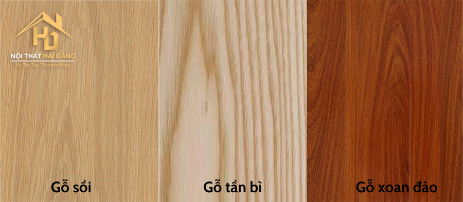 go-tan-bi-2 Gỗ Tần Bì (Gỗ Ash) Là Gỗ Gì? Thuộc Nhóm Mấy? Có Tốt Không?