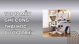 ghế công thái học
