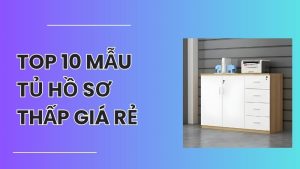 tủ hồ sơ thấp