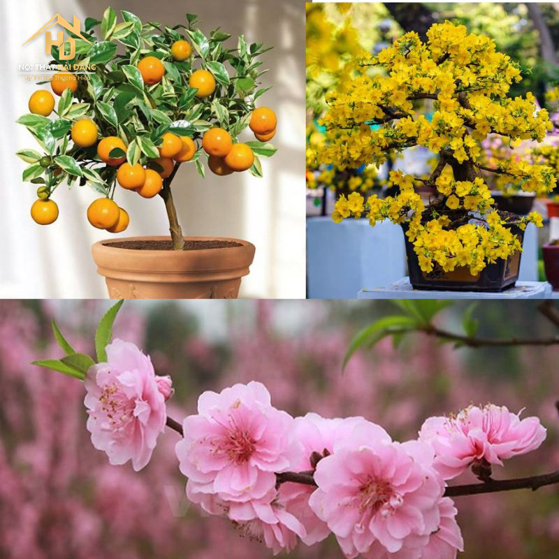 trang-tri-chau-mai-dao-quat Top 10 cách trang trí cầu thang ngày tết đẹp, hiện đại