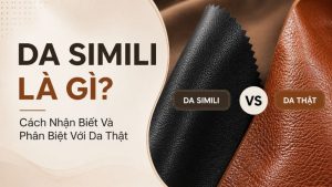 da simili là gì