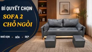 sofa 2 cho ngoi