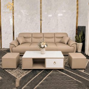 Sofa Phòng Khách 2m6 Sang Trọng (Nhiều Màu) 2 sofa 2m6 4